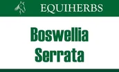 Akcesoria jeździeckie - EQUIHERBS Boswellia Seratta Kadzidłowiec 0,5 kg - - miniaturka - grafika 1