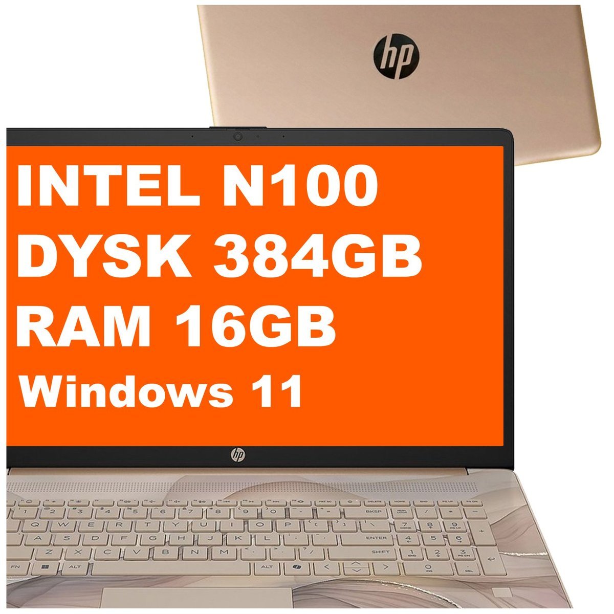 HP 17-cn3164ds / BS6W5UA / Intel N100 / 16GB / 384GB / Intel UHD / HD+ / Win 11 / Chai Latte