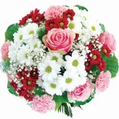 Kwiaty doniczkowe i cięte - Kwiaty Dream - miniaturka - grafika 1