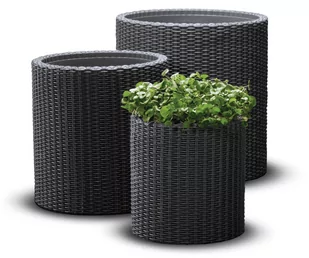 Keter Zestaw Cylinder Planters 3 szt 218809 - Donice - miniaturka - grafika 1
