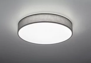 Trio Oświetlenie LUGANO Lampa Sufitowa LED Siwy, 1-punktowy 621914011 - Lampy sufitowe - miniaturka - grafika 1