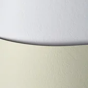 Gadżety dla niej i dla niego - Argo Karton Wizytówkowy 230g/m2 - faktura SKÓRA kolor BIAŁY - 20 arkuszy A4 2022 - miniaturka - grafika 1