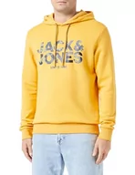 Bluzy męskie - Bestseller A/S Męska bluza z kapturem Jjjames Sweat Hood, Honey Gold, M - miniaturka - grafika 1