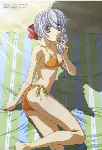 Plakat Full Metal Panic! fmp_003 A1+ (custom)