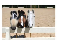 Puzzle - PUZZLE HOBBY HORSE KONIE KOŃ A3 252 el z Nadrukiem + IMIĘ Pudełko #60 - miniaturka - grafika 1