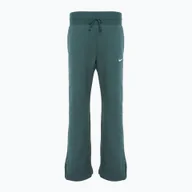 Spodnie sportowe damskie - Spodnie damskie Nike Sportswear Phoenix Fleece - miniaturka - grafika 1