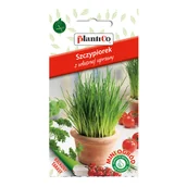 Nasiona i cebule - Szczypiorek Mini Ogród - miniaturka - grafika 1