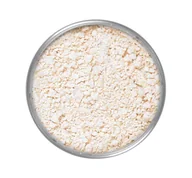 Pudry do twarzy - KRYOLAN Translucent Powder, transparentny puder do twarzy 11, 60 g - miniaturka - grafika 1