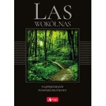 zbiorowe Opracowanie Las wokół nas - Albumy - historia - miniaturka - grafika 2