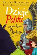 E-booki dla dzieci i młodzieży - Dzieje Polski opowiedziane dla młodzieży - miniaturka - grafika 1