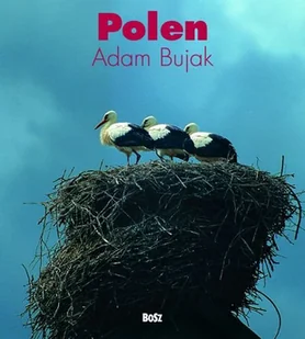 Polen - Albumy krajoznawcze - miniaturka - grafika 1