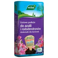 Ziemia ogrodowa - Podłoże do azalii i rododendronów formułą R+ 20 l Westland - miniaturka - grafika 1