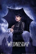 Plakaty - Wednesday Umbrella - plakat - miniaturka - grafika 1