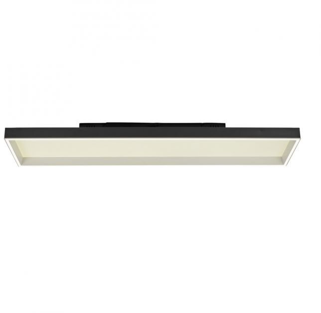 Lampa sufitowa Paul Neuhaus Lampa Sufitowa LED Q-Magong 6317-18 Paul Neuhaus