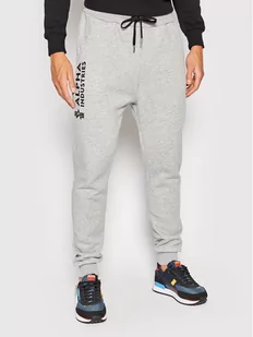 Alpha Industries Spodnie dresowe Basic 116368 Szary Regular Fit - Spodnie sportowe męskie - miniaturka - grafika 1