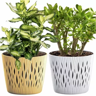 Doniczka Okrągła Osłonka Domowa Kwietnik Zestaw X2 Muszt-Biała - Donice Doniczka Okrągła Osłonka Domowa Kwietnik Zestaw X2 Muszt-Biała - Donice - miniaturka - grafika 1