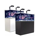 Akwaria i zestawy akwarystyczne - Red Sea REEFER G2+ XL 525 Deluxe System zestaw akwarium z białą szafką - miniaturka - grafika 1