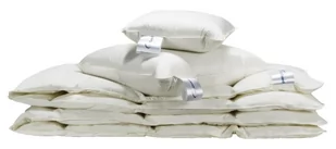 Kołdra Puchowa 220x200 AllerGuard Warm Antyalergiczna - Kołdry - miniaturka - grafika 1