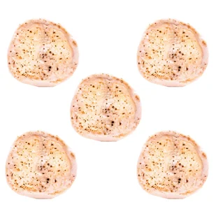 Spód do pizzy 5 x 250g - Schronisko Bukowina - Pieczywo chrupkie - miniaturka - grafika 1