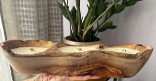 Naturalna świeca sojowa w drewnie oliwnym DOK-35 - Świece - miniaturka - grafika 1