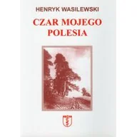 Historia świata - Wasilewski Henryk Czar mojego polesia - miniaturka - grafika 1