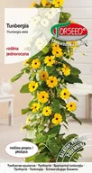 Nasiona i cebule - Nasiona Tunbergia pnącze - Torseed - miniaturka - grafika 1