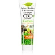 Balsamy i kremy do ciała - Bione Cosmetics Balsam ziołowy z kasztanowca CBD Kanabidiol 300 ml - miniaturka - grafika 1