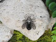 Wisiorki - Stalowy wisiorek z czarnym agatem / owad, pszczoła, cykada, ważka - miniaturka - grafika 1