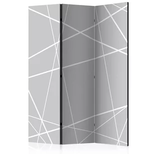Parawan 3-częściowy - Nowoczesna pajęczyna [Room Dividers] (rozmiar 135x172) - Parawany - miniaturka - grafika 1