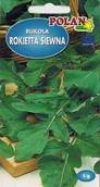Nasiona i cebule - Rukola - Rokietta Siewna Jednoroczna 1 g POLAN - miniaturka - grafika 1