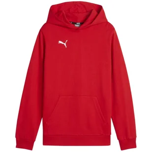 Bluza Z Kapturem Dziecięca Team Goal Casual - Odzież sportowa dziecięca - miniaturka - grafika 1