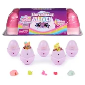 Lalki dla dziewczynek - Hatchimals Zestaw Pięciu Jajek Samowykluwających Się + Akcesoria Wersja Tęczowa Rainbow Splash - miniaturka - grafika 1