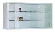 Meble i wyposażenie gabinetów medycznych - Malow Szafka wisząca medyczna SZL 103 DB67-74596 - miniaturka - grafika 1
