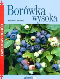 Borówka wysoka - Poradniki hobbystyczne - miniaturka - grafika 1