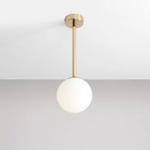 Aldex Pinne Short Wisząca 1080PL/G30/S - Lampy sufitowe - miniaturka - grafika 1