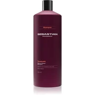 Szampony do włosów - Sebastian Professional Penetraitt szampon do włosów zniszczonych zabiegami chemicznymi 1000 ml - miniaturka - grafika 1