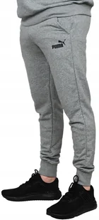 Puma Spodnie Dresowe Męskie Ess Logo Pants 586716-03 szare - Spodnie sportowe męskie - miniaturka - grafika 1