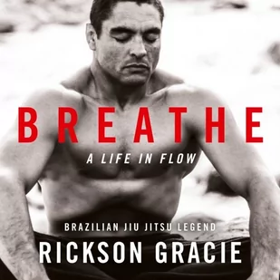 Breathe - Audiobooki obcojęzyczne - miniaturka - grafika 1