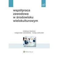 Rozwój osobisty - Współpraca zawodowa w środowisku wielokulturowym - miniaturka - grafika 1