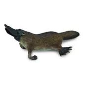 Figurki dla dzieci - Collecta Dziobak australijski M - miniaturka - grafika 1