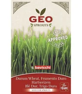 Zdrowa żywność - Pszenica durum - nasiona na kiełki GEO, certyfikowane, 80g, Bavicchi (ZCR0103) - miniaturka - grafika 1