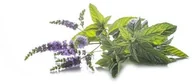 Akcesoria jeździeckie - EQUIHERBS Mięta pieprzowa 1 kg - miniaturka - grafika 1