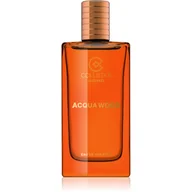 Wody i perfumy męskie - Collistar Aqua Wood Woda toaletowa 100ml - miniaturka - grafika 1