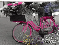 Koperty - Panta Plast Koperta z nadrukiem zip A4 PP Bike - miniaturka - grafika 1