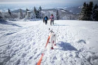 Czasopisma - DOGTREKKING Beskid Wyspowy - miniaturka - grafika 1