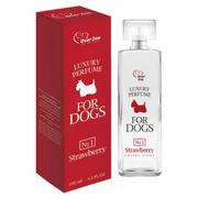 Szampony i odżywki dla psów - Over Zoo Perfumy dla psów o zapachu truskawek - miniaturka - grafika 1