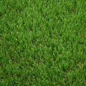 Trawy i trawniki - Sztuczna Trawa Girona 4M - miniaturka - grafika 1