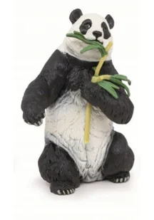Panda z bambusem - Albumy krajoznawcze - miniaturka - grafika 1