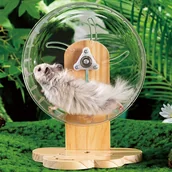 Inne - TEMU Akrylowe Ciche Koło do Ćwiczeń dla Chomika z Regulowanym Wysokością Drewnianym Stojakiem - Przezroczyste Koło do Biegania dla Chomików i Jeżów, - miniaturka - grafika 1