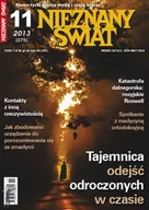 Czasopisma - Nieznany Świat 11/2013 - miniaturka - grafika 1
